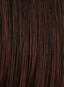 16'' Coily Cinched Pony by Hairdo - Colour  Glazed Black Cherry