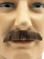 Moustache 8