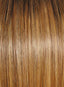 Straight Up With A Twist Elite by Raquel Welch - Colour Shaded Honey Ginger