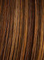 16'' 10PC Human Hair Fineline Extension Kit by Hairdo - Colour Glazed Cinnamon