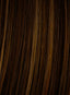 16'' 10PC Human Hair Fineline Extension Kit by Hairdo - Colour Glazed Hazelnut