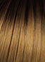 16'' 10PC Human Hair Fineline Extension Kit by Hairdo - Colour Rooted Honey Ginger
