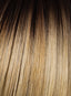 16'' 10PC Human Hair Fineline Extension Kit by Hairdo - Colour Rooted Golden Wheat