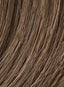 Super Mane by Hairdo - Colour Pecan Brown