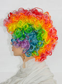 Clown - Synthetic Wig