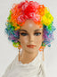 Clown - Synthetic Wig