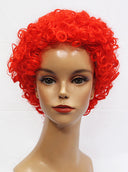 Clown - Synthetic Wig