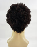 Afro S - Synthetic Wig