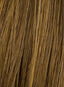 20'' Human Hair Invisible Extensions by Hairdo - Colour Chestnut