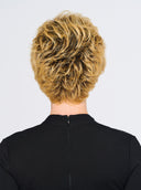 Swept back Short Cut by Hairdo - Back 1
