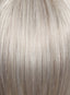 Hairdo Silver Mist