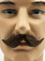 Moustache 11
