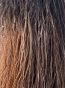 NORIKO - COLOUR TERRACOTTA H