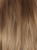 Orchid Collection - Colour Champagne Sunset