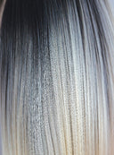 Orchid Collection - Colour Creme de Coco