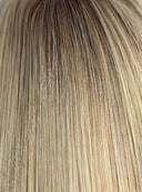Orchid Collection - Colour Moonlight Blonde Root