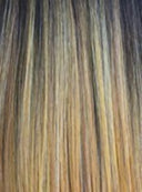 Orchid Collection - Colour Sunkiss