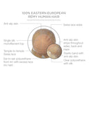 Contessa - Human Hair Wig