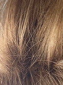 Donald Trump - Synthetic Wig