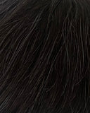 Men's Hairpiece 17cm X 23cm