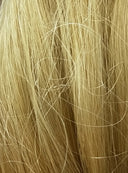 HBW - Human Hair Ponytail