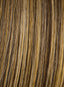 Vintage Volume by Hairdo - Colour Glazed Mocha