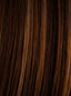 Long With Layers by Hairdo - Colour Glazed Auburn