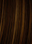 27'' Holywood Waves Cinched Pony by Hairdo - Colour Glazed Hazelnut