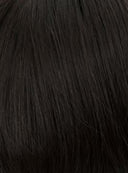 HPSTL - Synthetic Ponytail