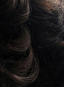 King Charles - Synthetic Wig