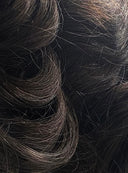 King Charles - Synthetic Wig