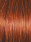 Trend Setter Elite by Raquel Welch - Colour Glazed Fire