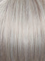 Faux Fringe by Raquel Welch - Colour Silver Mist